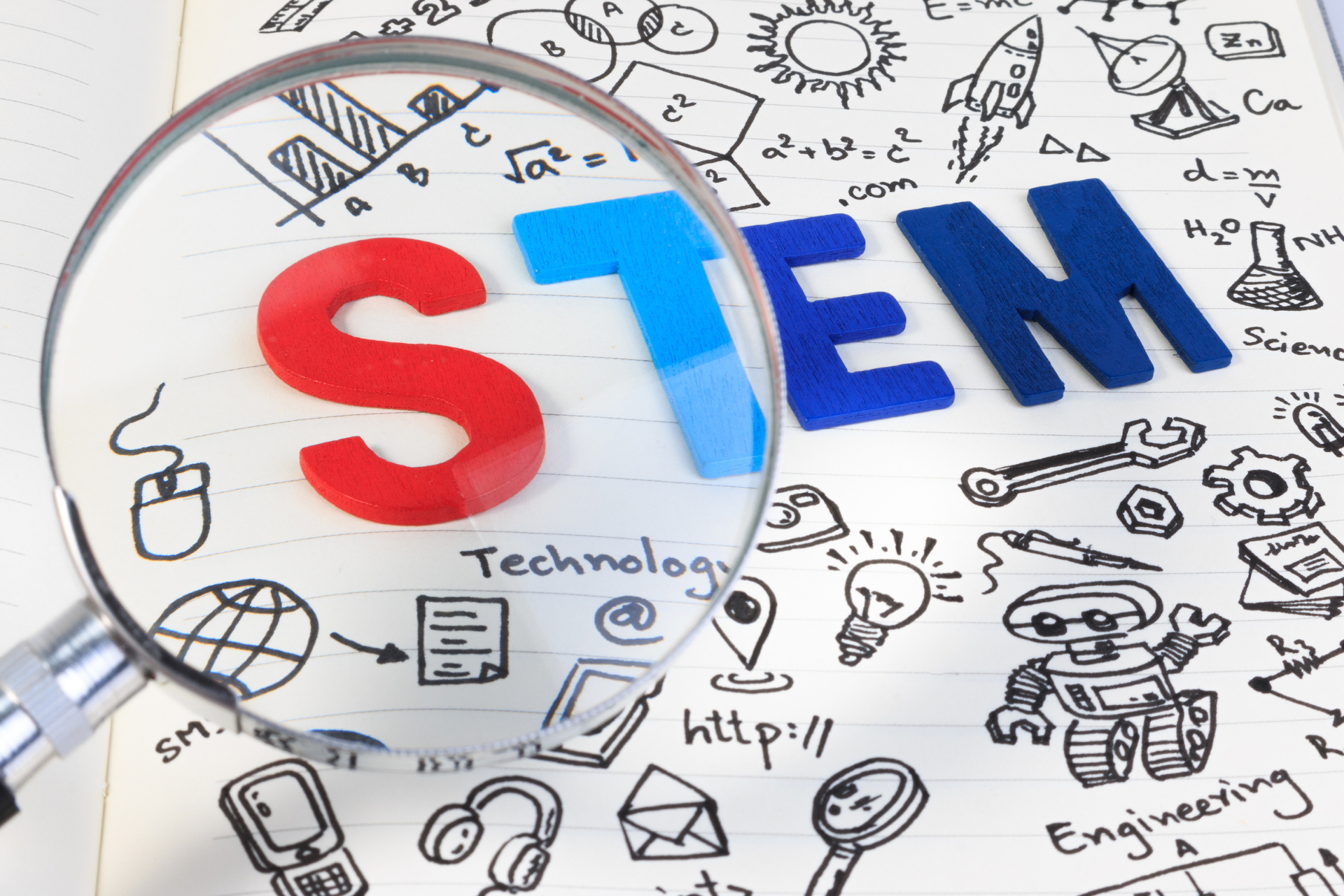 STEM roles